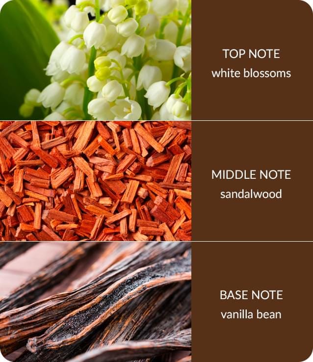 Heart and Home - Bamboo Small Jar Candle - White Blossom & Sandalwood