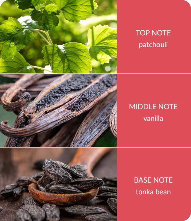 Heart and Home - Wax Melt - True Enchantment