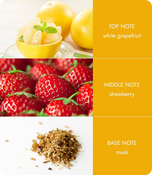 Heart and Home - Twin Wick Candle - Citrus Grapefruit