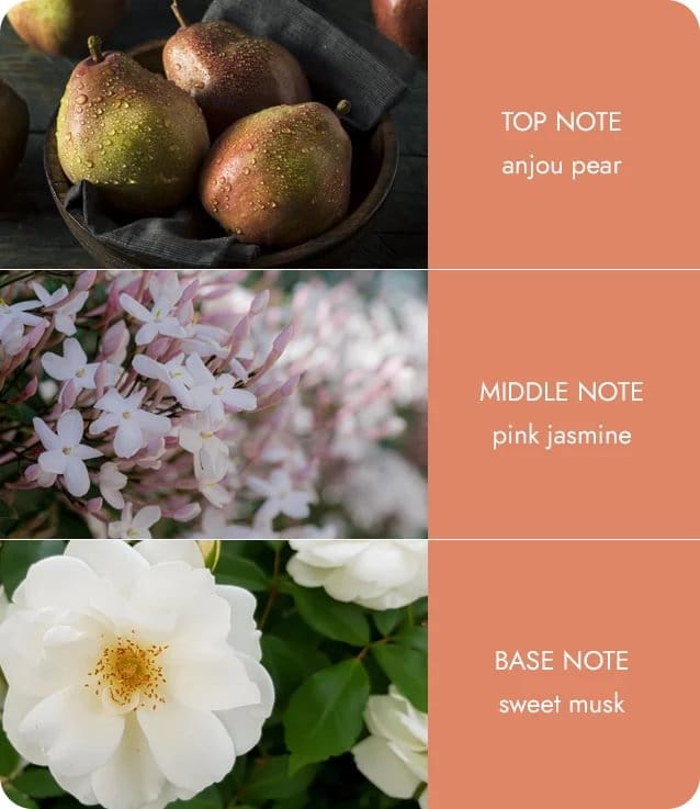 Heart and Home - Essential Oil Blend - Angel Touch