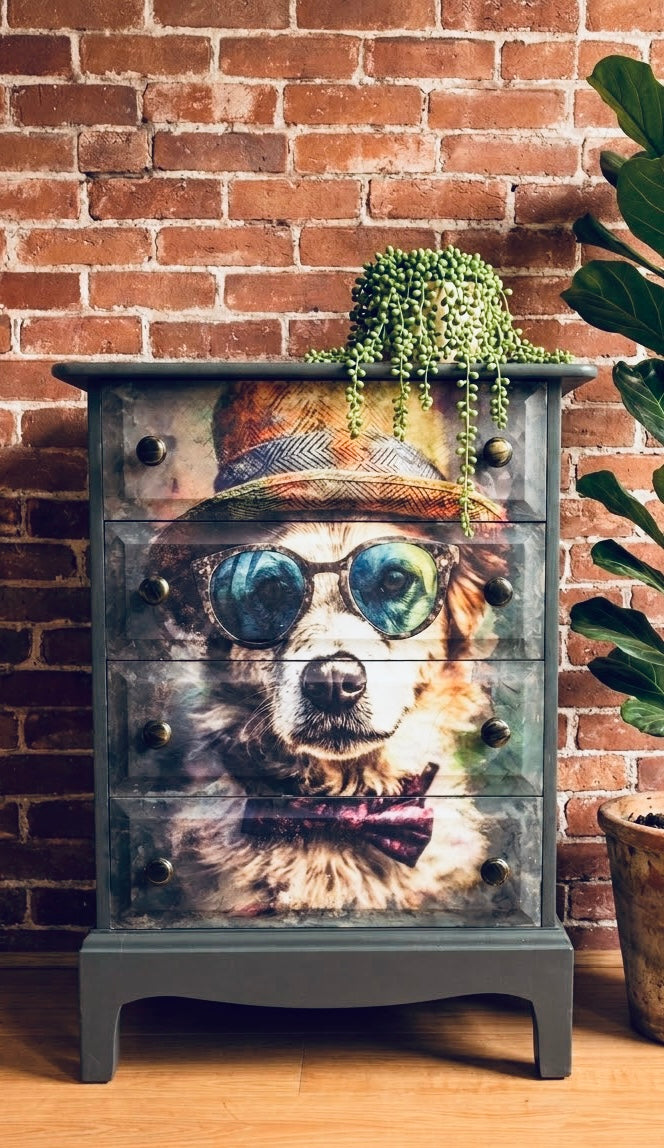 Stag 4 drawer chest with quirky doggie decoupage