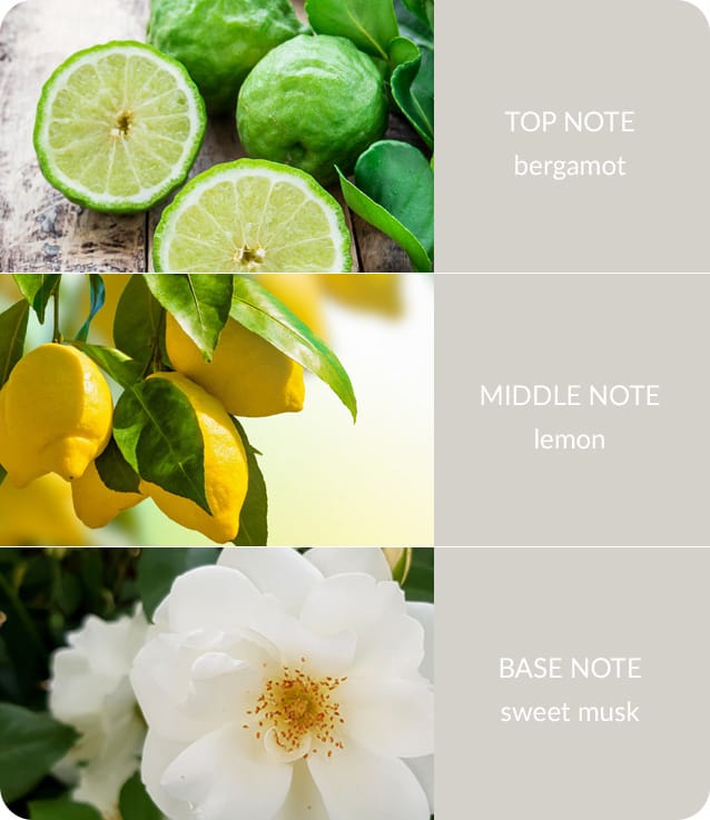 Heart and Home - Fragrance Diffuser - Guardian Angel