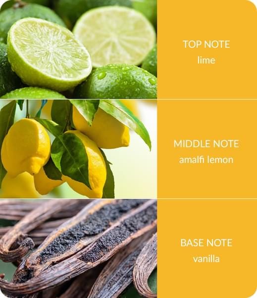 Heart and Home - Wax Melt - Lemon Bliss