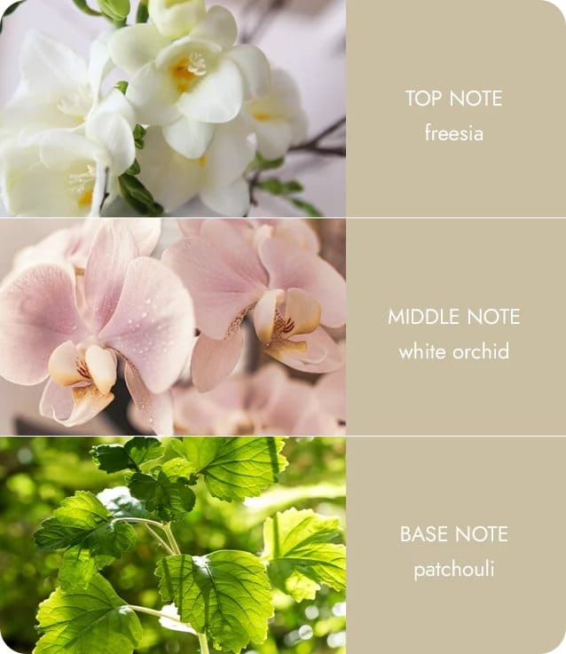 Heart and Home - Fragrance Diffuser - Love Always