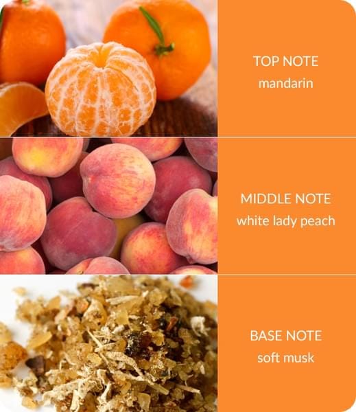 Heart and Home - Wax Melt - Peach Passion