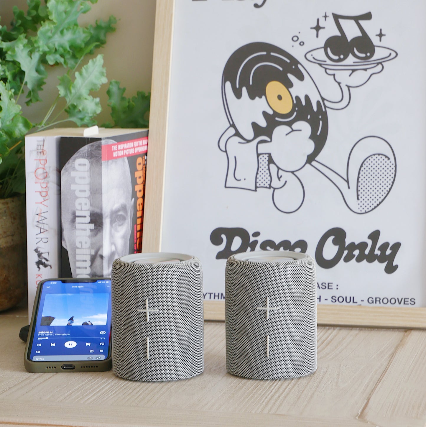 Split Bluetooth Speaker