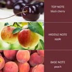 Heart and Home - Fragrance Diffuser - Sweet Black Cherries