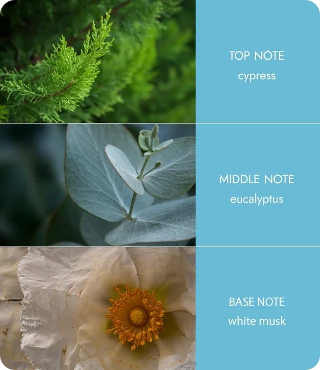 Heart and Home - Fragrance Diffuser - Tranquility