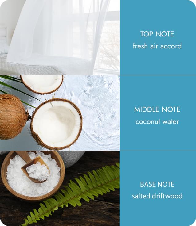 Heart and Home - Fragrance Diffuser - Sea Salt